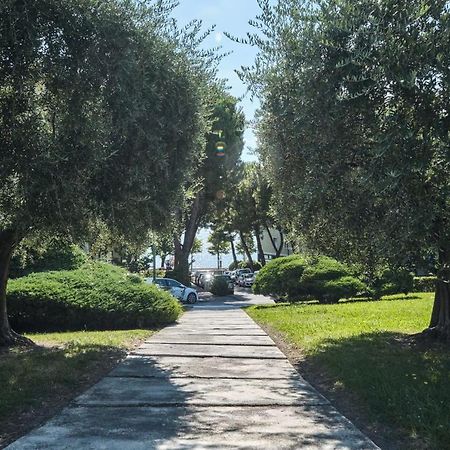 Appartamento Floriana Desenzano del Garda Eksteriør billede